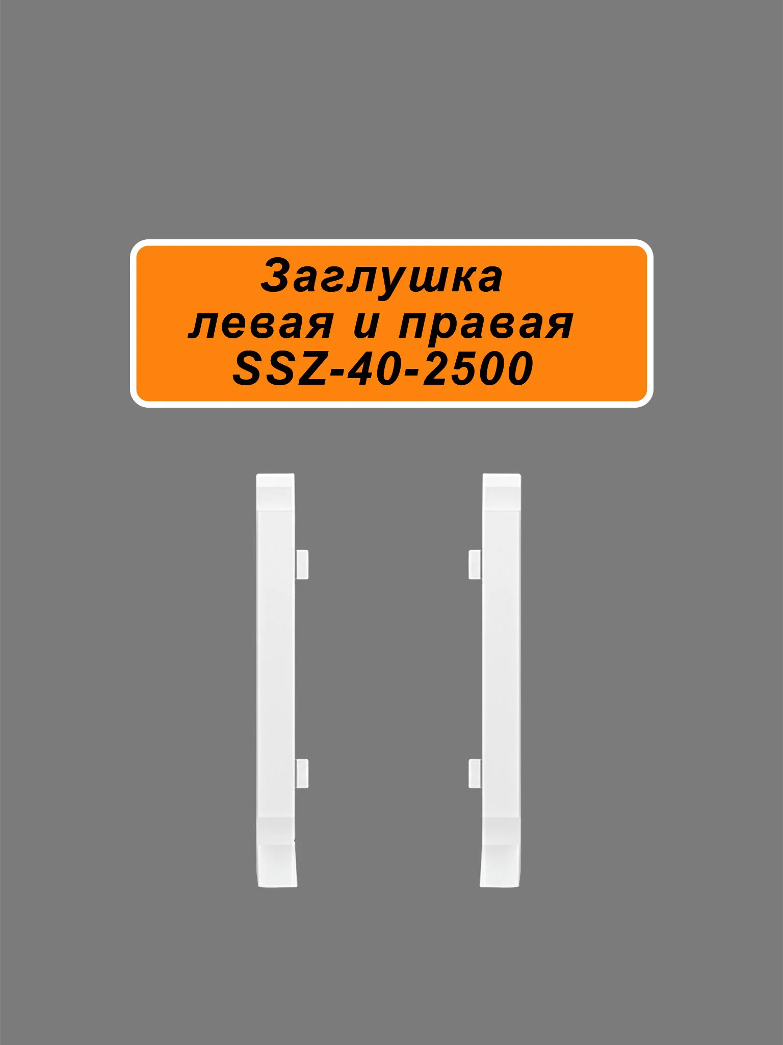 Заглушка левая и правая для напольного плинтуса SSZ-40-2500, Белый матовый, 2 шт Купить оптом Заглушка левая и правая для напольного плинтуса SSZ-40-2500, Белый матовый, 2 шт