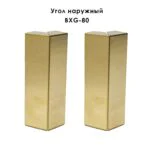 Угол наружный, внешний из нержавеющей стали для напольного плинтуса BXG-80-2500,Золото брашированное, 2 шт