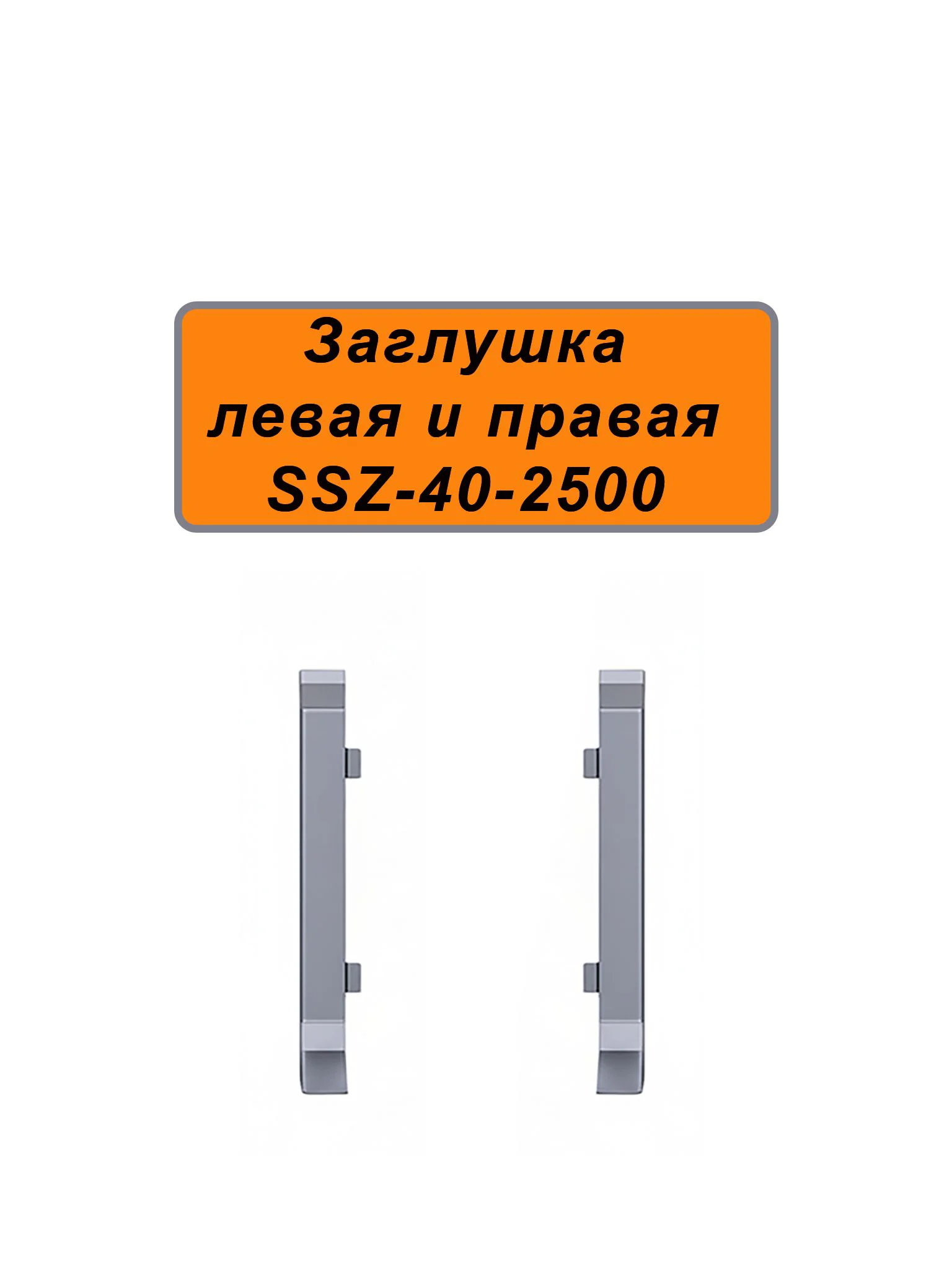 Заглушка левая и правая для напольного плинтуса SSZ-40-2500, Серебро матовое, 2 шт